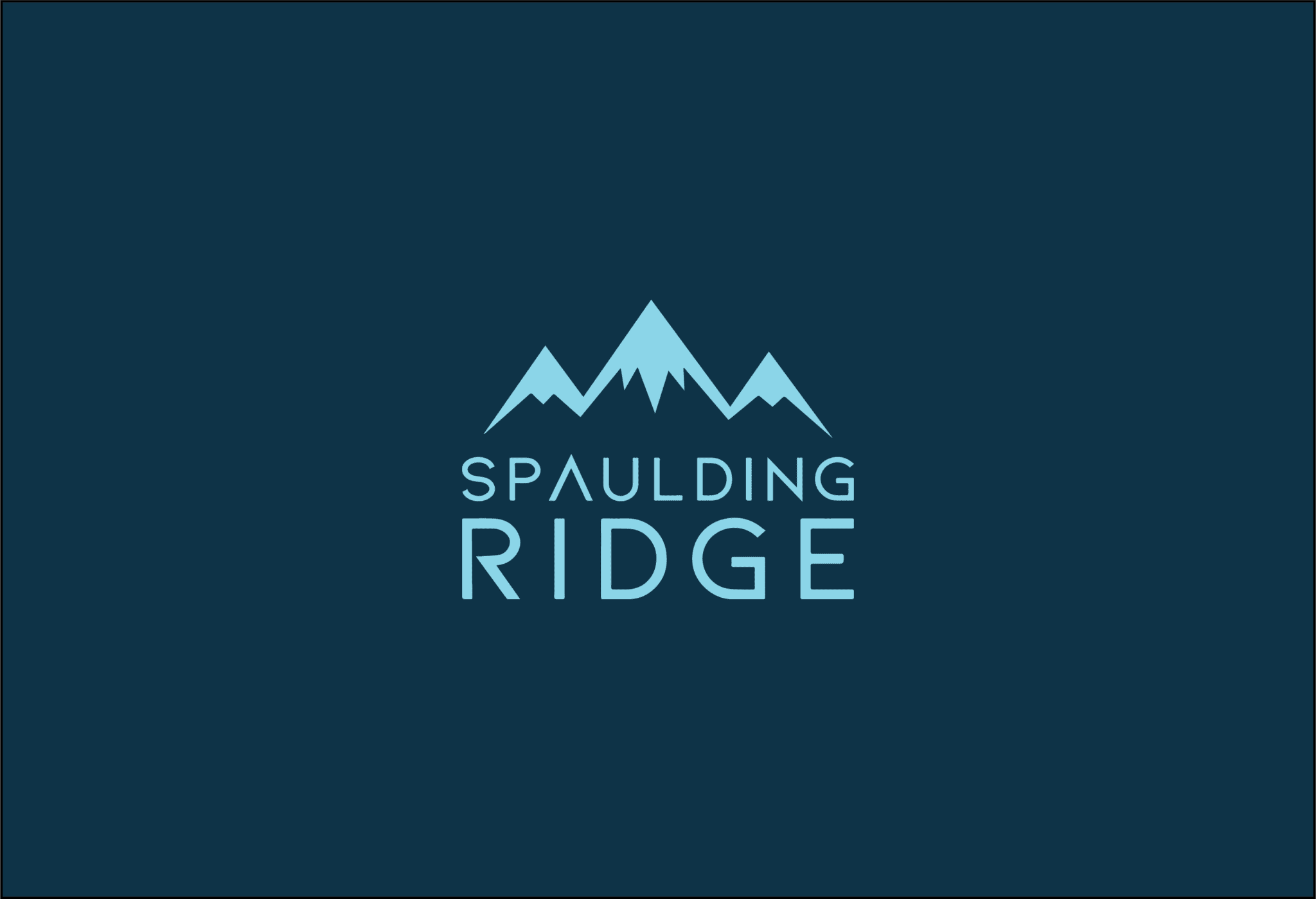 Spaulding Ridge: Business Transformation Strategists