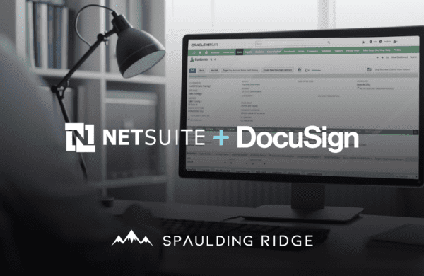 NetSuite DocuSign Demo