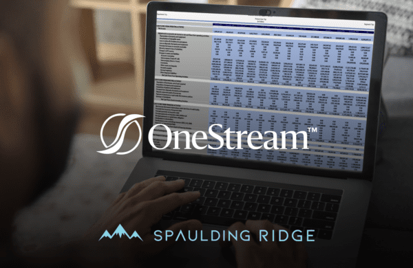 OneStream Dynamic Cash Flow Demo